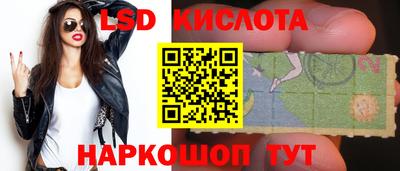 прущие крисы Кандалакша