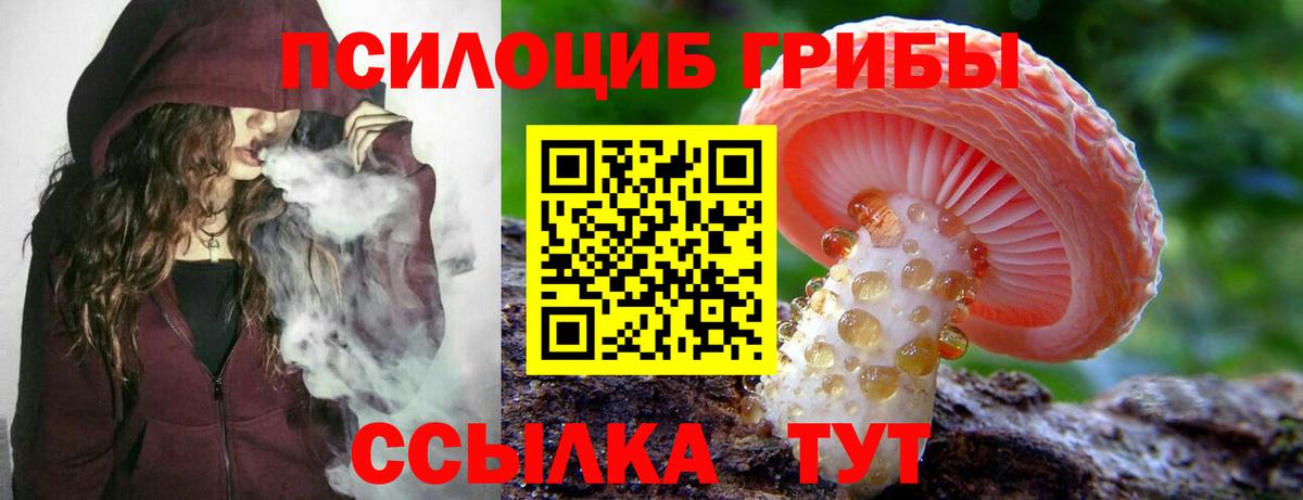 Галлюциногенные грибы мухоморы Лениногорск