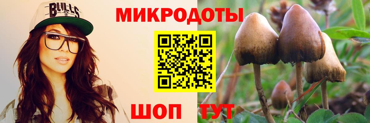 Лениногорск  Галлюциногенные грибы мухоморы  Вход с VPN 